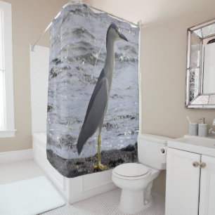Black Crowned Night Heron Shower Curtain