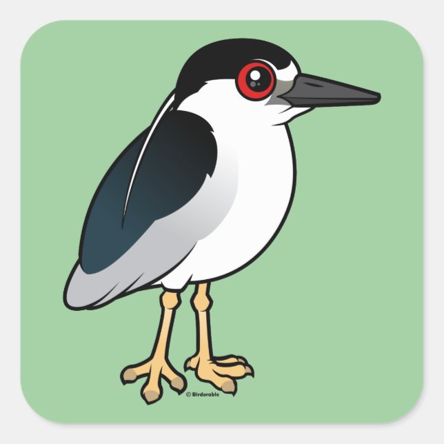 Black-crowned Night Heron Square Sticker (Front)