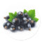 Black currants