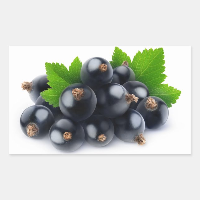 Black currants rectangular sticker (Front)