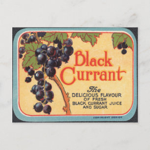 Black Current Postcard