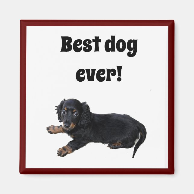 Black Dachshund Cocker Spaniel Puppy Photograph Magnet (Front)