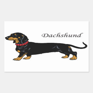 black dachshund rectangular sticker