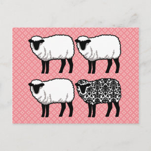 Black Damask Sheep Postcard