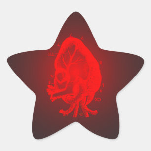 Black Death 777 - St Valentine Brandy Star Sticker
