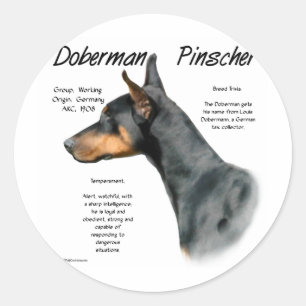 Black Doberman Pinscher History Classic Round Sticker