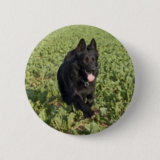 Black Dog 6 Cm Round Badge (Front)