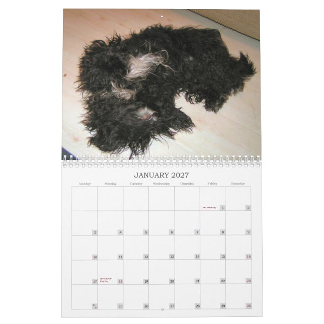 Black Dog Calendar 2010 (Jan 2027)