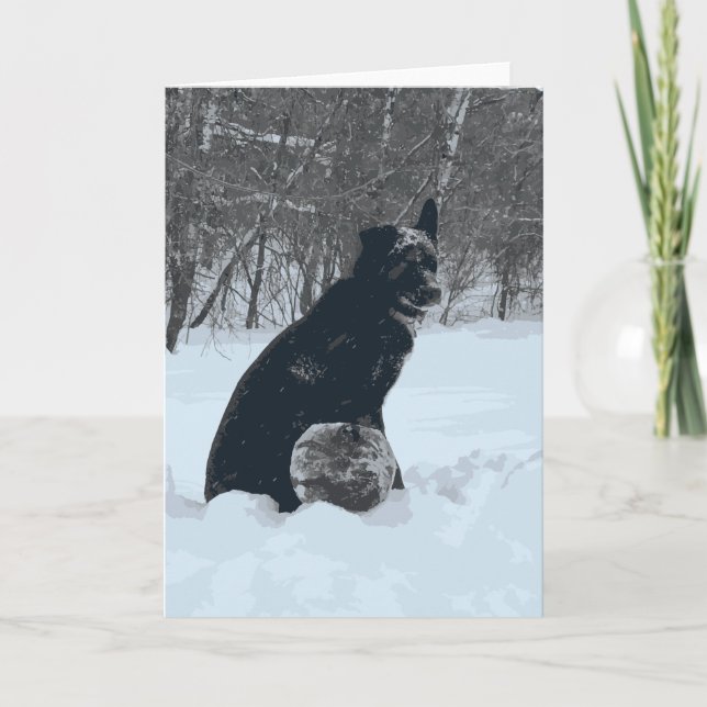 Black Dog Covered In Snow Winter Card (Front)