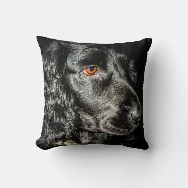 Black dog cushion (Front)