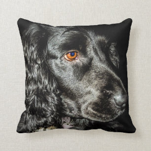 Black dog cushion