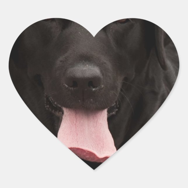 Black dog face heart sticker (Front)