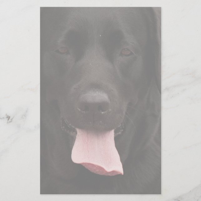 Black dog face stationery (Front)