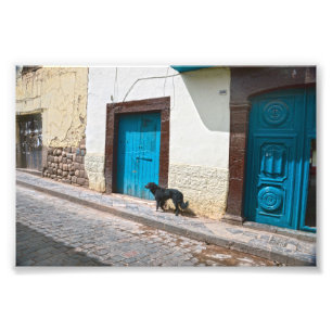 Black Dog in Cusco, Peru Photo Print