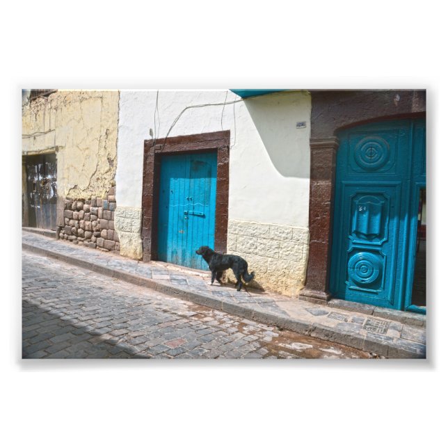 Black Dog in Cusco, Peru Photo Print (Front)