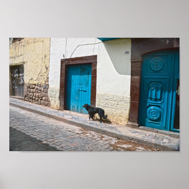 Black Dog in Cusco, Peru Poster (Front)