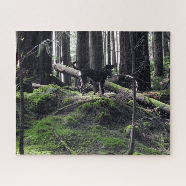 Black Dog Lab Shepherd Forest Woods Picture Photo Jigsaw Puzzle (Horizontal)