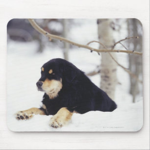 Black dog lying in snow mouse pad