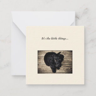 Black Dog Mini Thank You Note Card