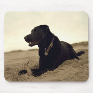 Black dog on sand with stick mouse pad