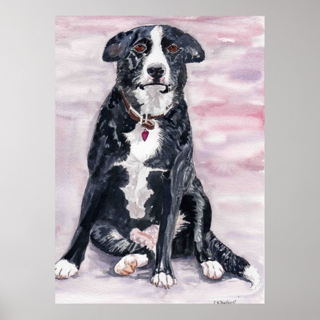 'Black Dog' Poster (Front)