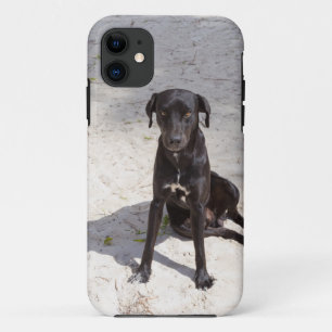 Black dog with an evil eye iPhone 11 case