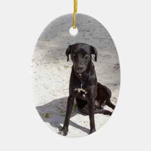 Black dog with an evil eye ceramic tree decoration
