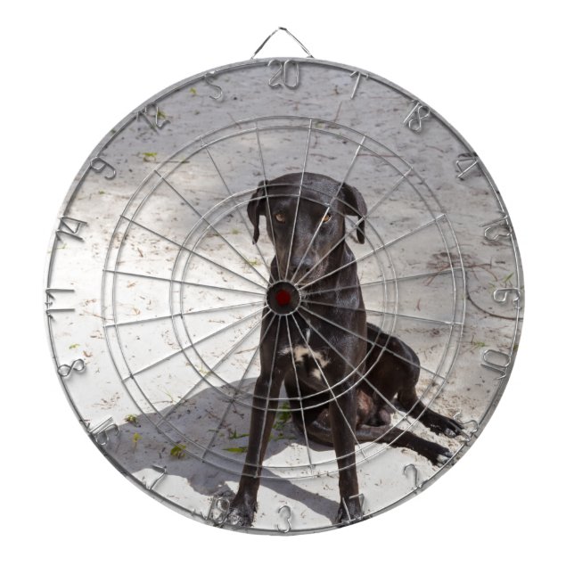 Black dog with an evil eye dartboard (Front)