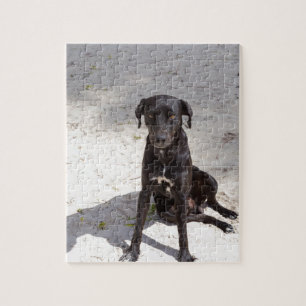 Black dog with an evil eye jigsaw puzzle