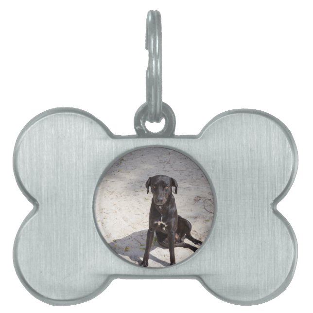 Black dog with an evil eye pet tag (Front)