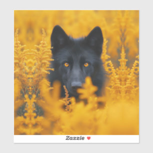 Black Dog with Stunning Gold Eyes