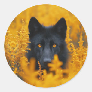 Black Dog with Stunning Gold Eyes Classic Round Sticker