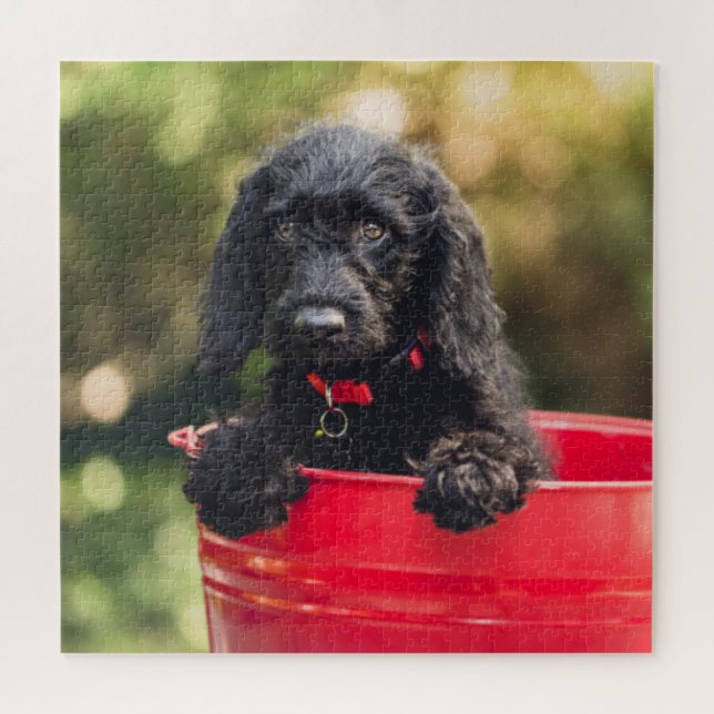 Black Doodle Puppy in a Red Bucket Jigsaw Puzzle (Horizontal)