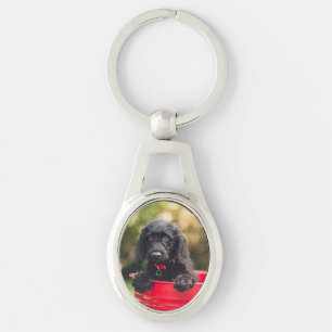 Black Doodle Puppy in a Red Bucket Key Ring