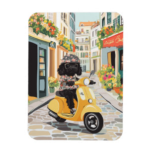 Black Doodle Riding Scooter European City Streets Magnet