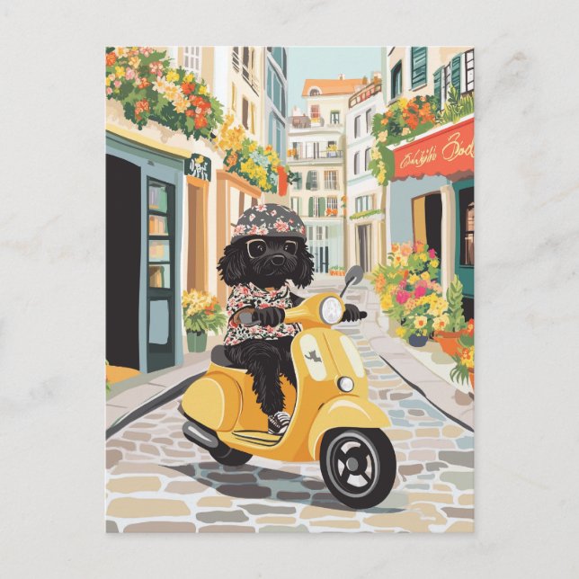 Black Doodle Riding Scooter European City Streets Postcard (Front)