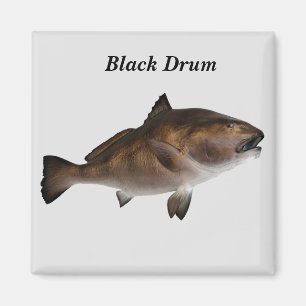 Black Drum Fish Magnet
