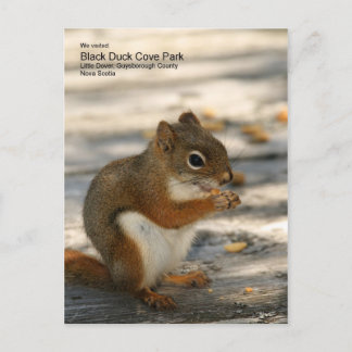 Black Duck Cove Park Postcard