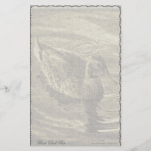 Black Duck Hen Custom Stationery