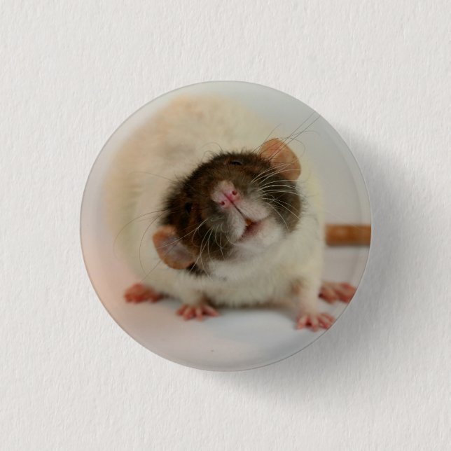 Black dumbo rex Rat 3 Cm Round Badge (Front)