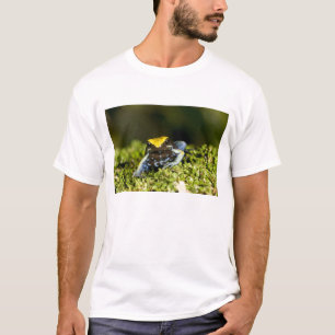 Black-eared Mantella, Mantella expectata, 2 T-Shirt