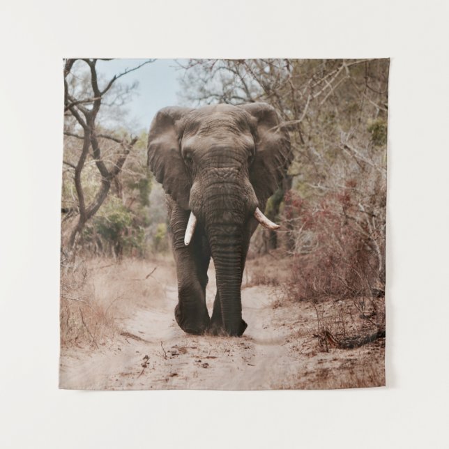 BLACK ELEPHANT WALKING ON BROWN SAND TAPESTRY (Front)
