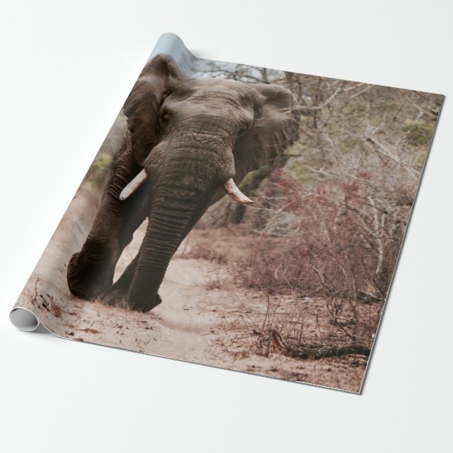 BLACK ELEPHANT WALKING ON BROWN SAND WRAPPING PAPER (Unrolled)