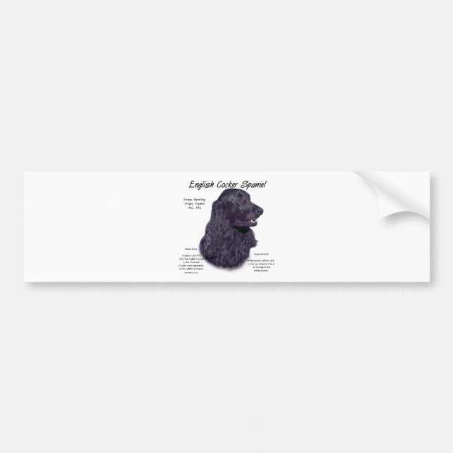Black English Cocker Spaniel History  Bumper Sticker (Front)