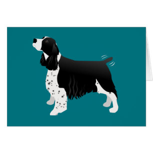 Black English Springer Spaniel Basic Breed