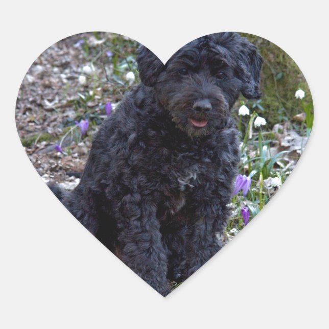 Black English Springer Spaniel Heart Sticker (Front)