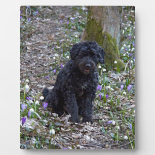Black English Springer Spaniel Plaque