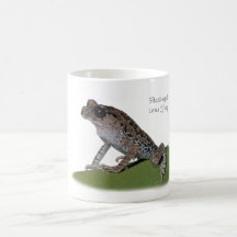 Black-eyed Litter Frog Mug