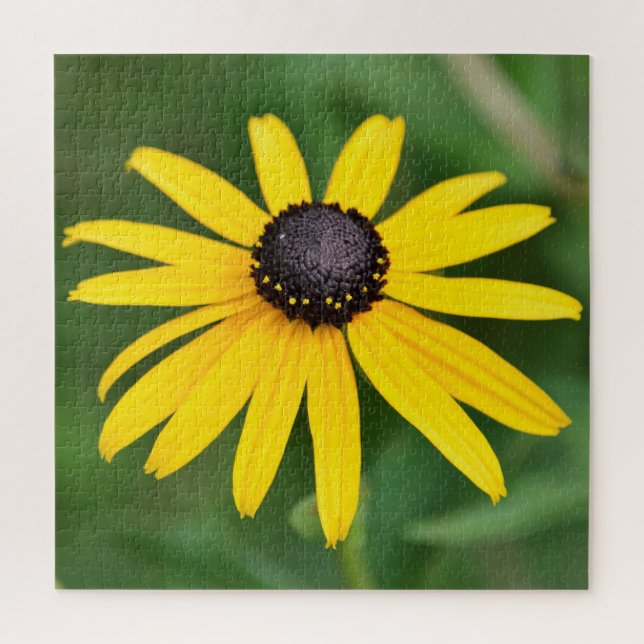 Black Eyed Susan - 20x20 - 676 pcs. Floral Puzzle (Vertical)