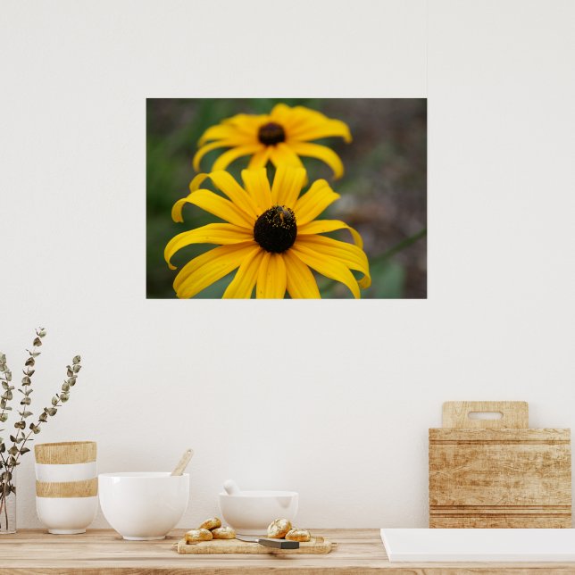 Black-Eyed Susan and Bee Poster (Kitchen)
